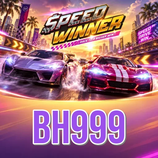 Step-by-Step Install Guide - bh999