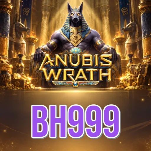 App Information bh999